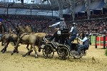Extreme - 00448